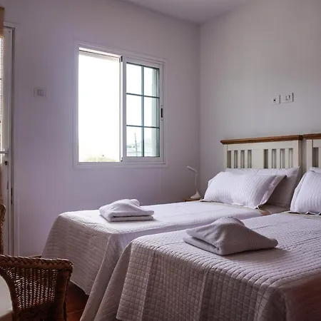 Cozy In La Laguna La Laguna (Tenerife)
