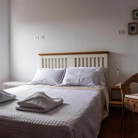 Cozy In La Laguna